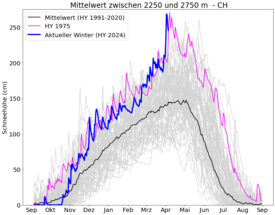 Die Schneehöhen im Winter 2023/24 (dunkelblau) verlaufen im Bereich zwischen 2250 und 2750 Metern fast parallel zu den Höhen im Winter 1974/75 (violette Linie) und liegen weit über dem langjährigen Durchschnitt (schwarze Linie). Besonders sticht die ungewöhnliche Parallelität Anfang April hervor. (modellierte Schneehöhen auf einem Ein-Kilometer-Raster zwischen 2250 und 2750 Metern über die ganze Schweiz, Grafik: SLF)