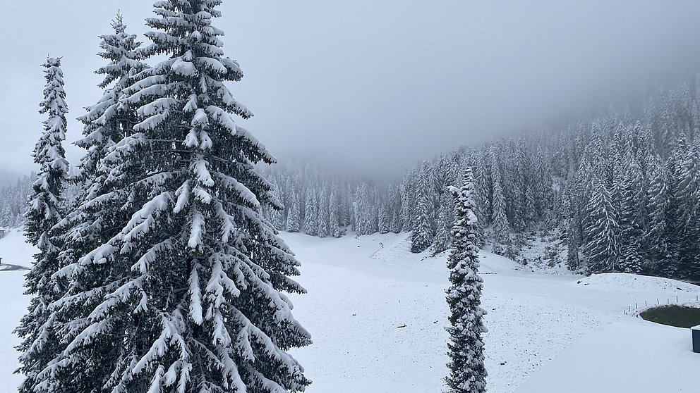 Wintereinbruch bis in mittlere Lagen