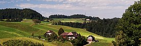 Wie wird sich die Landschaft im KLimawandel verändern? Im Bild ein Bauernhof inmitten Landwirtschaftsland und Wald. (Bild: M. Bolliger)